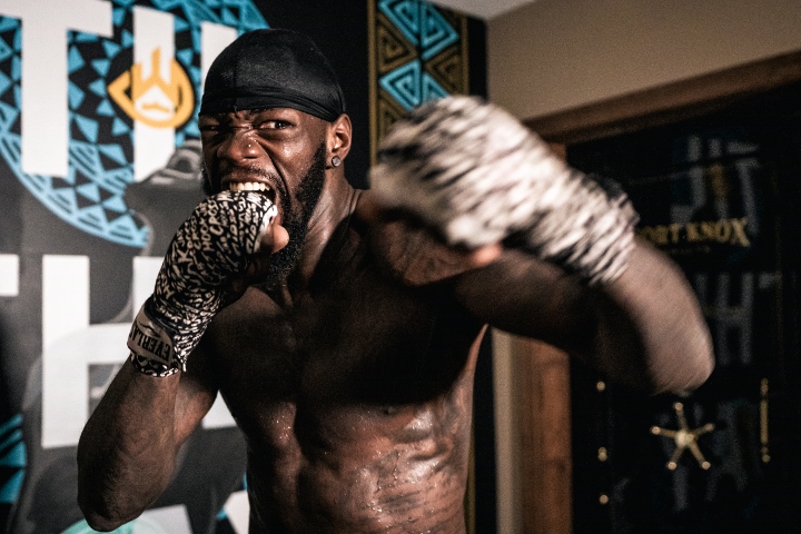 Deontay wilder модель фото